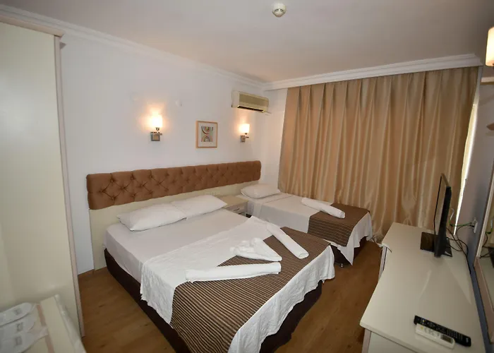 Almena Otel 3*
